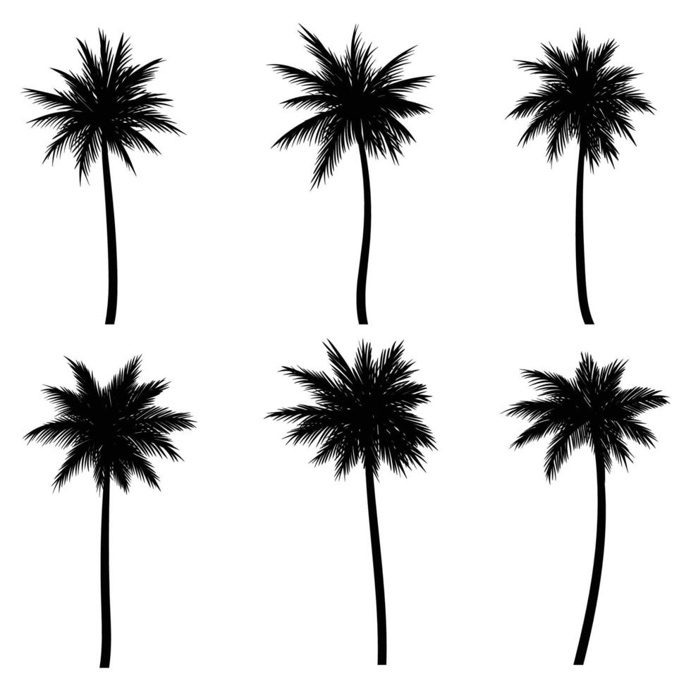 palm boom kokosnoot silhouet reeks verzameling vector