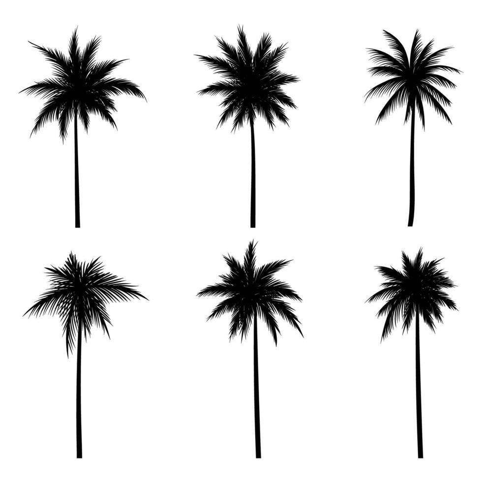 palm boom kokosnoot silhouet reeks verzameling vector