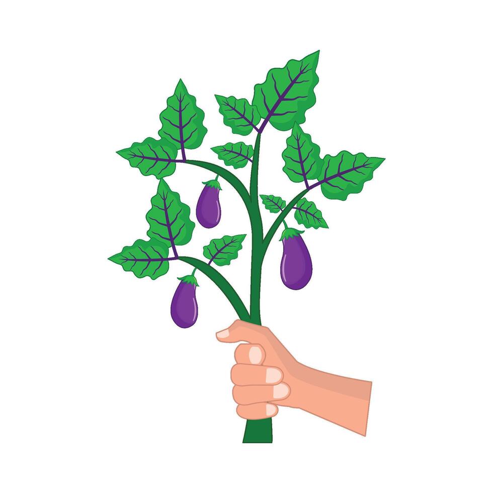 aubergine boom in hand- illustratie vector