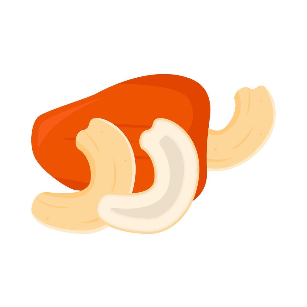cachou fruit met cachou noten illustratie vector