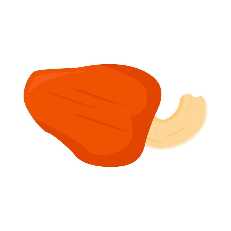 cachou fruit met cachou noten illustratie vector