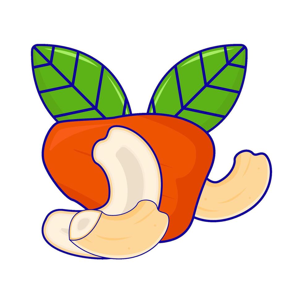 cachou fruit met cachou noten illustratie vector