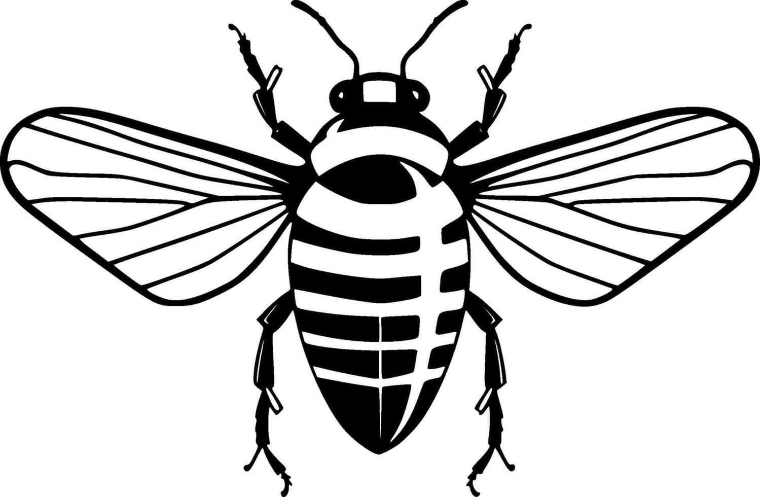 kakkerlak - zwart en wit geïsoleerd icoon - vector illustratie