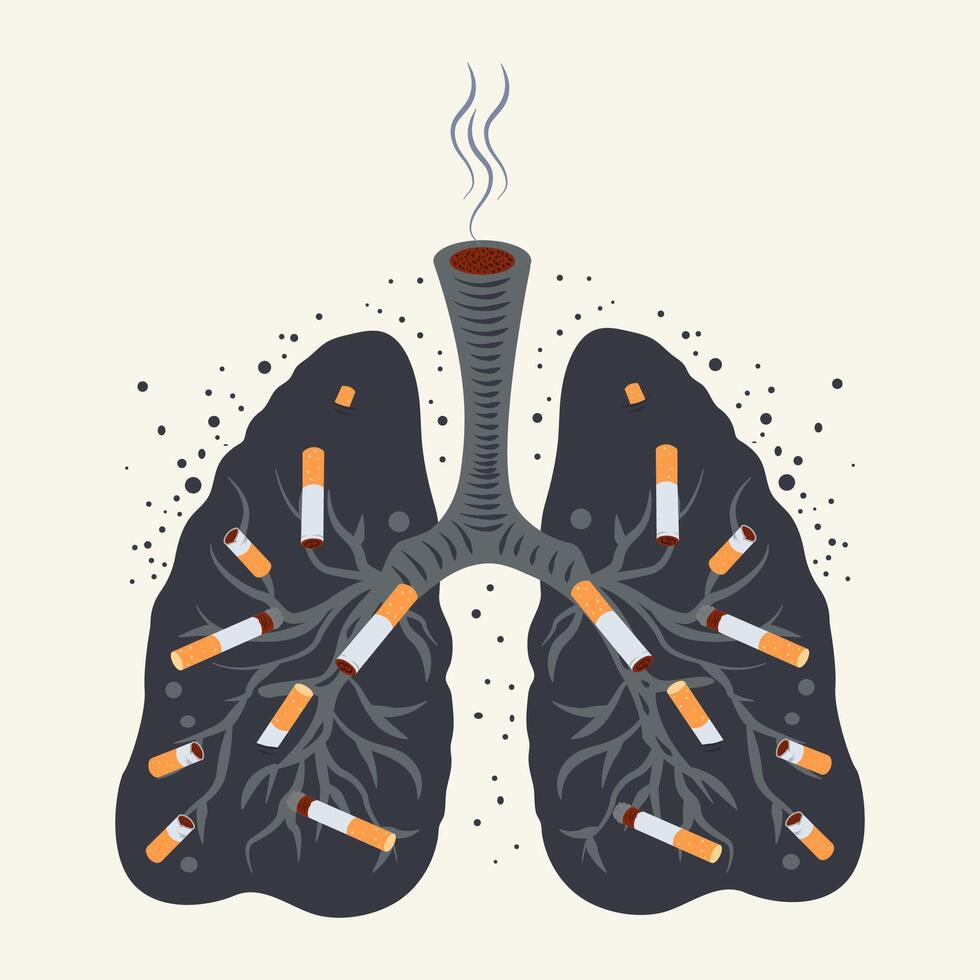 rokers longen. giftig Effecten van sigaret tabak. concept van stoppen roken. wereld Nee tabak dag vector