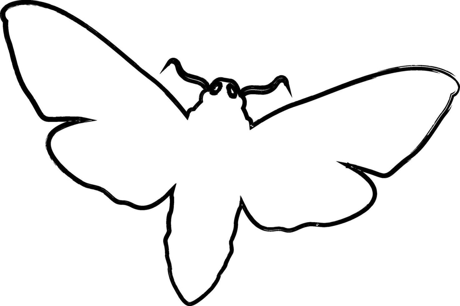 vlinder tekening ontwerp natuur insecten. vector