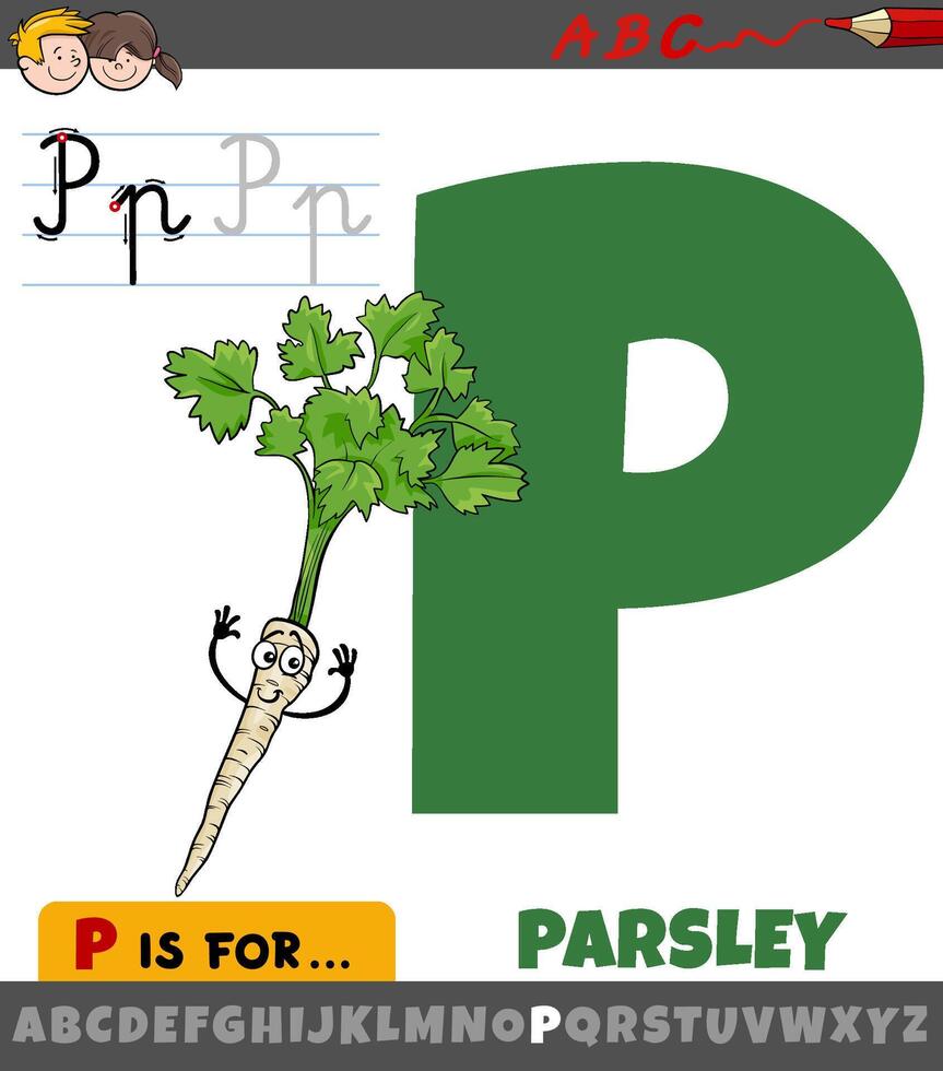 brief p van alfabet met tekenfilm peterselie groente karakter vector