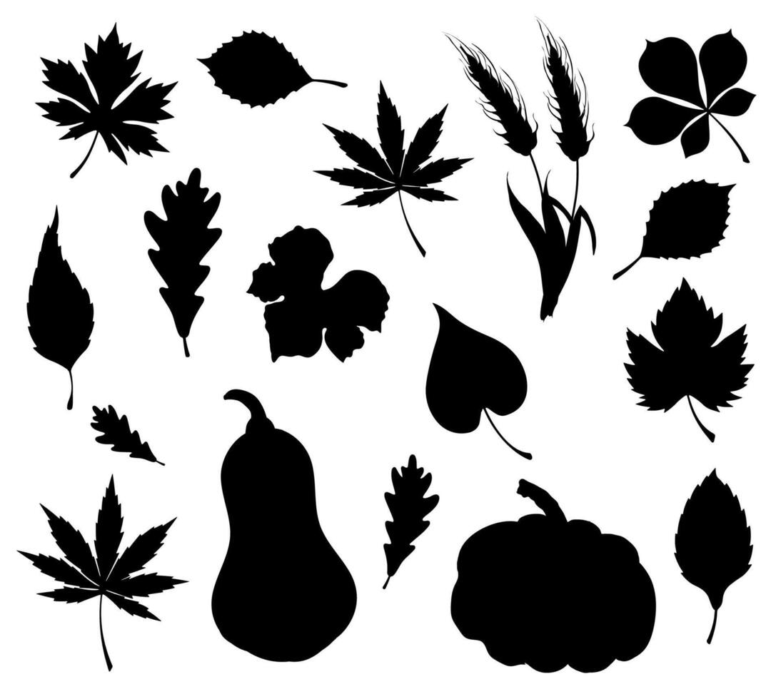 herfst esdoorn- blad, pompoen, tarwe oor silhouetten vector