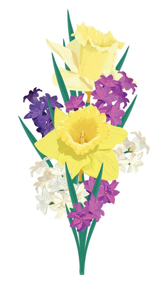 boeket van helder voorjaar bloemen. vector gekleurde hyacinten en geel narcissen Aan een wit achtergrond. primula's in tekenfilm stijl zijn geschikt voor groet kaarten voor moeder dag en vrouwen dag.
