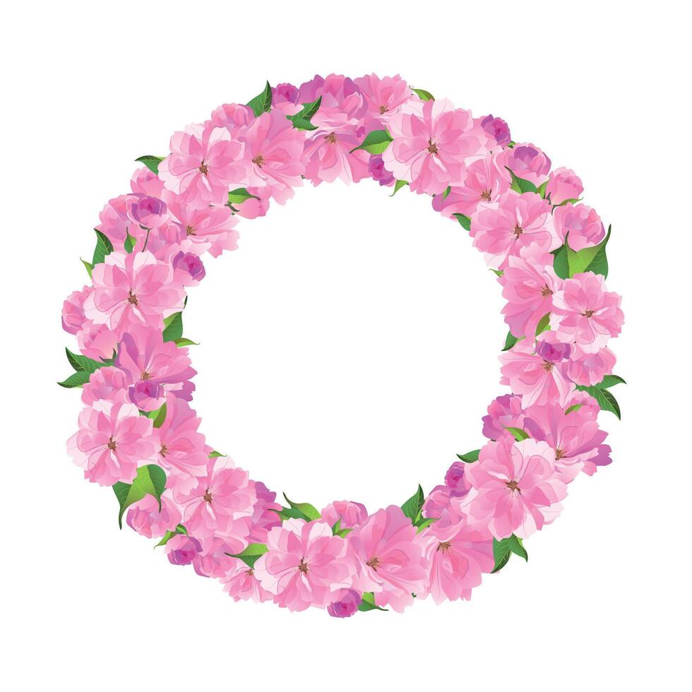 voorjaar krans met kers bloeit. plaats voor tekst. Hanami festival. bloeiend sakura, ume pruim. voorjaar roze bloemen. vector