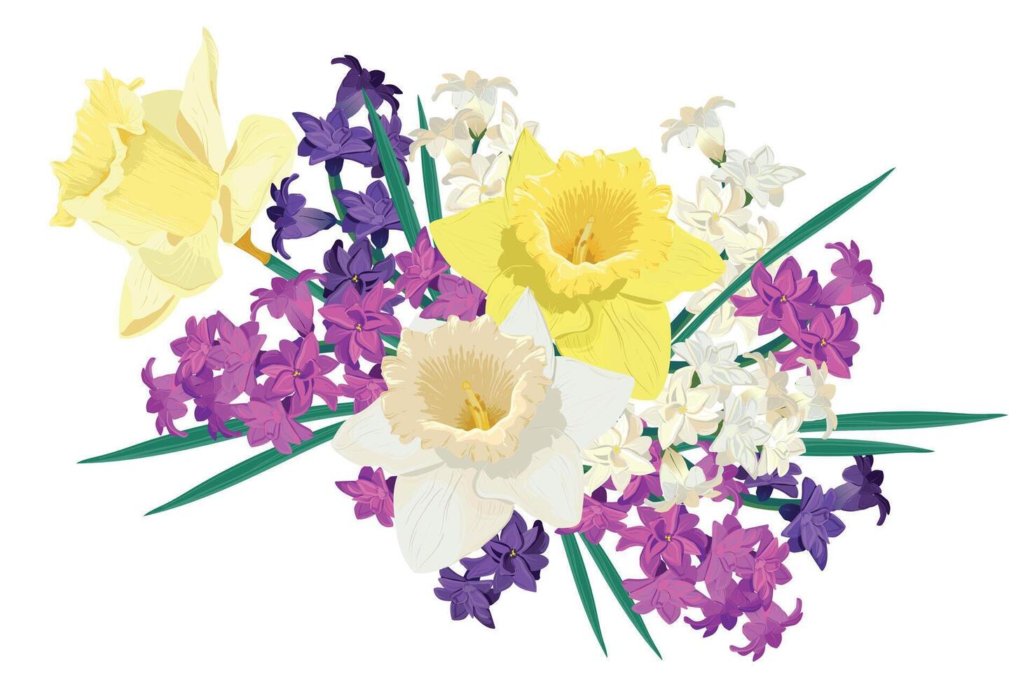 samenstelling van helder voorjaar bloemen. vector gekleurde hyacinten en geel narcissen Aan een wit achtergrond. primula's in een tekenfilm stijl zijn geschikt voor groet kaarten voor moeder dag en vrouwen dag