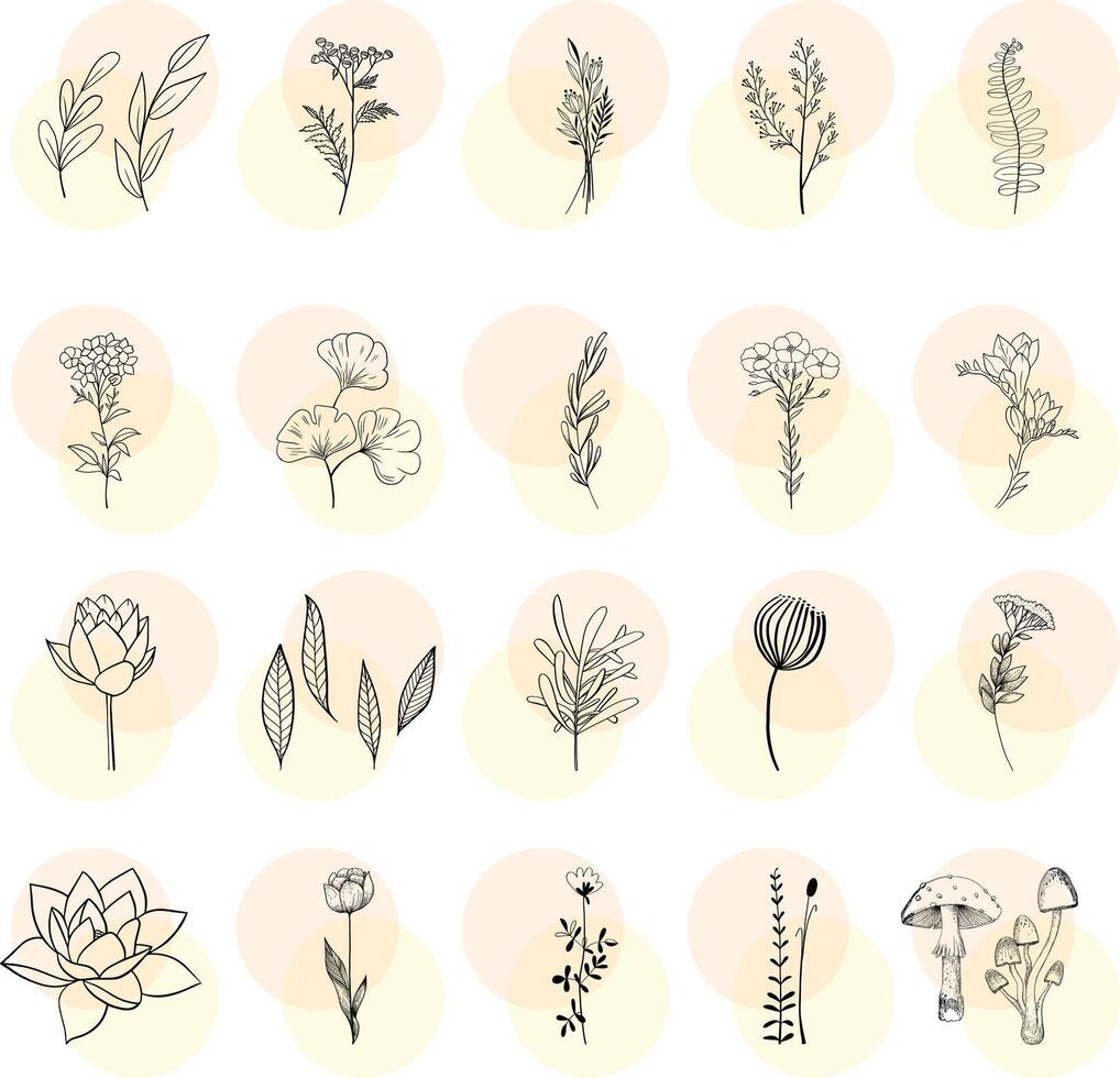 blad en bloemen met wit achtergrond vector