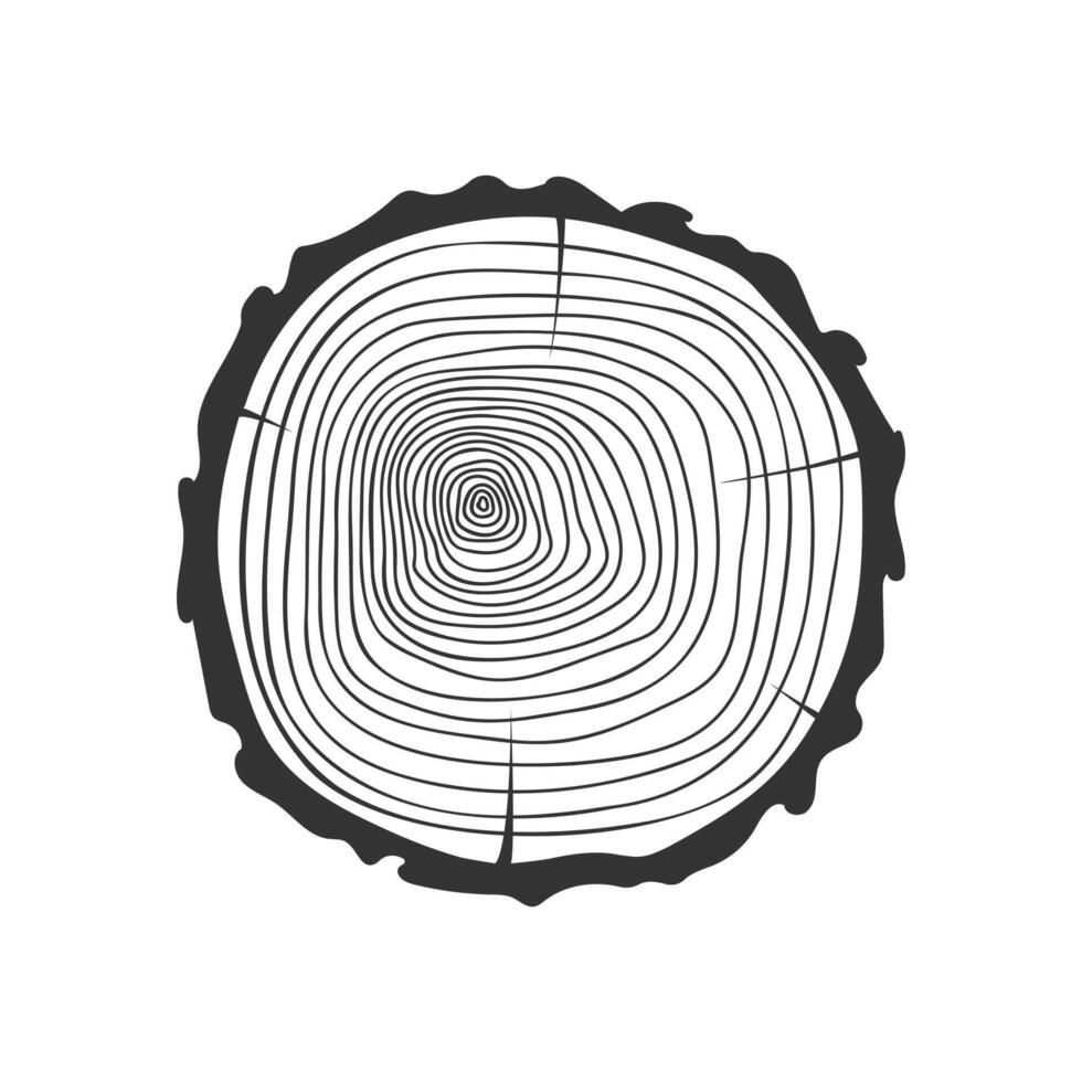 jaar- groei ringen in boom romp kruis sectie. houten postzegel hand- getrokken structuur geïsoleerd Aan wit achtergrond. dendrochronologie dating methode naar bepalen boom leeftijd vector