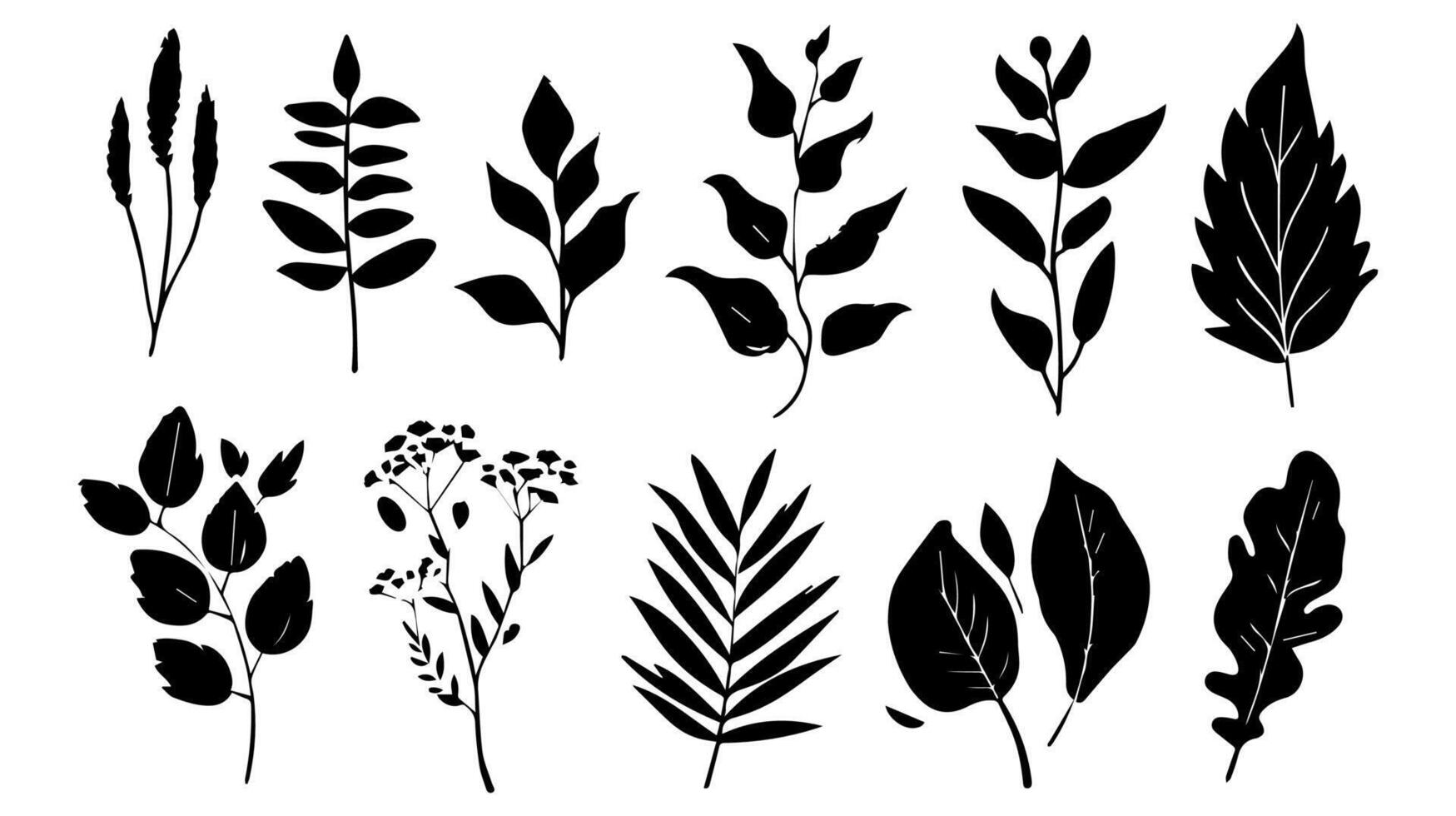 reeks van zwart silhouetten van bladeren en bloemen. vector illustratie.