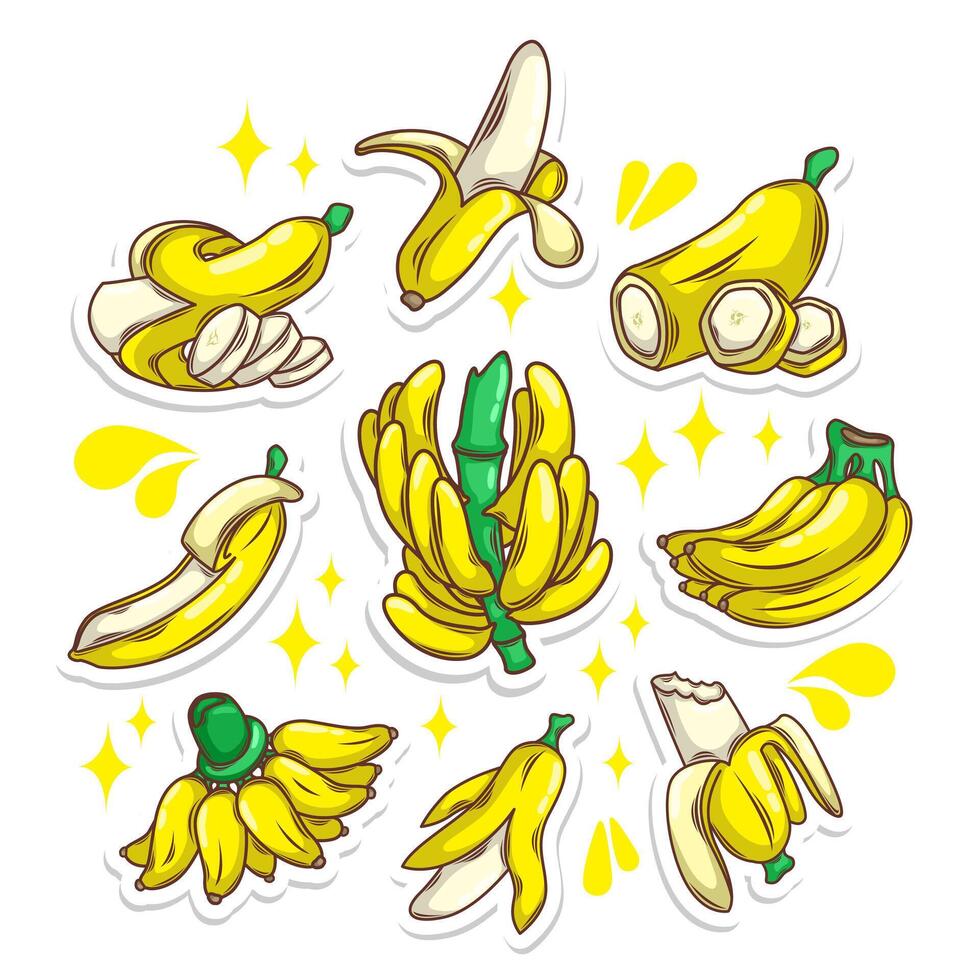 banaan fruit verzameling set. hand- trek illustratie kunst vector