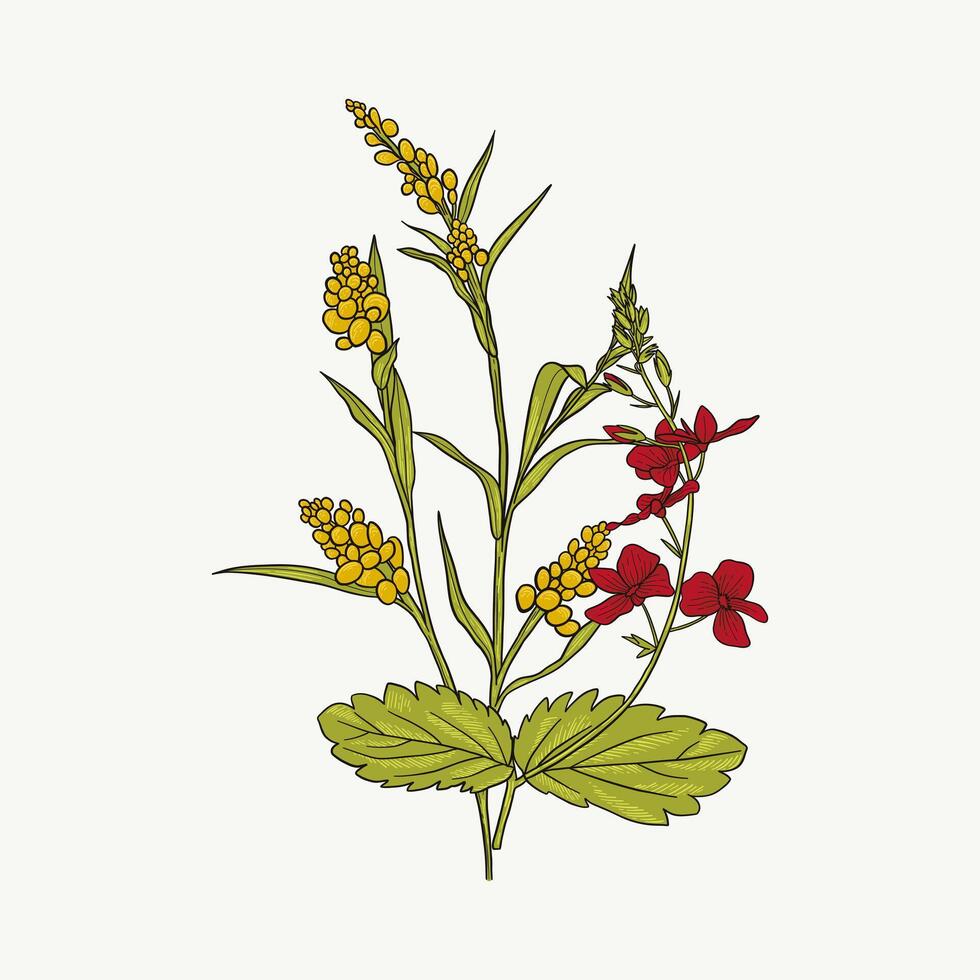 wijnoogst stijl hand- getrokken bloem illustratie vector