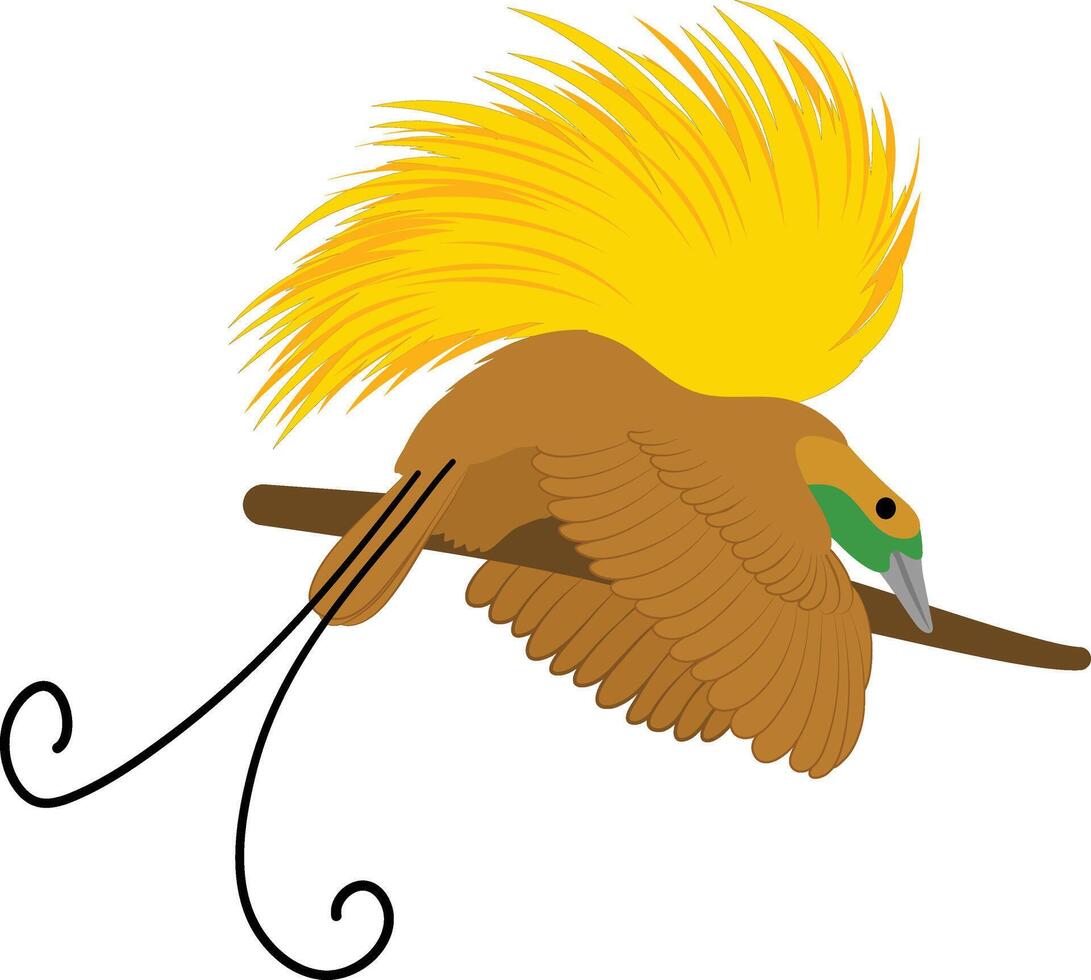 vogel van paradijs, vogel van paradijs vector illustratie