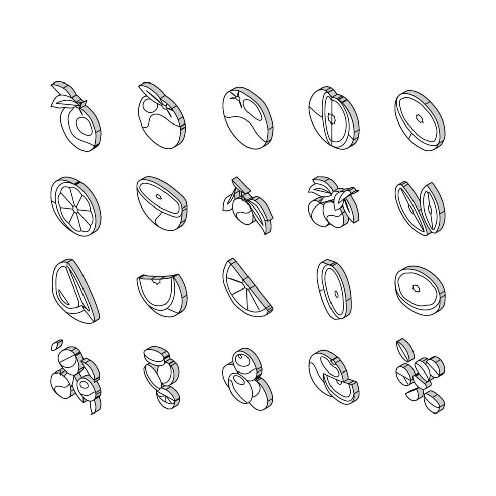 oranje citrus vers plak sap isometrische pictogrammen reeks vector