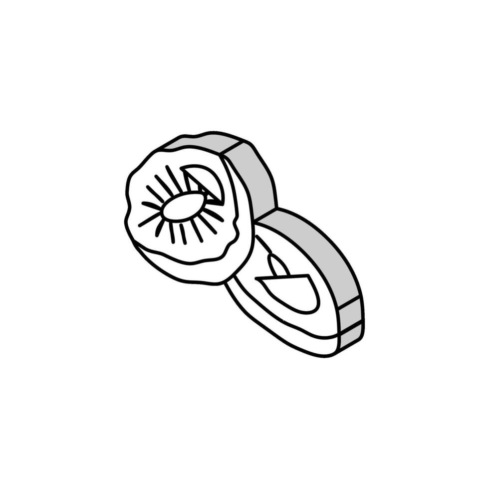 kiwi droog fruit isometrische icoon vector illustratie