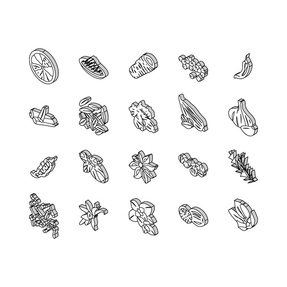 kruid voedsel kruid blad isometrische pictogrammen reeks vector