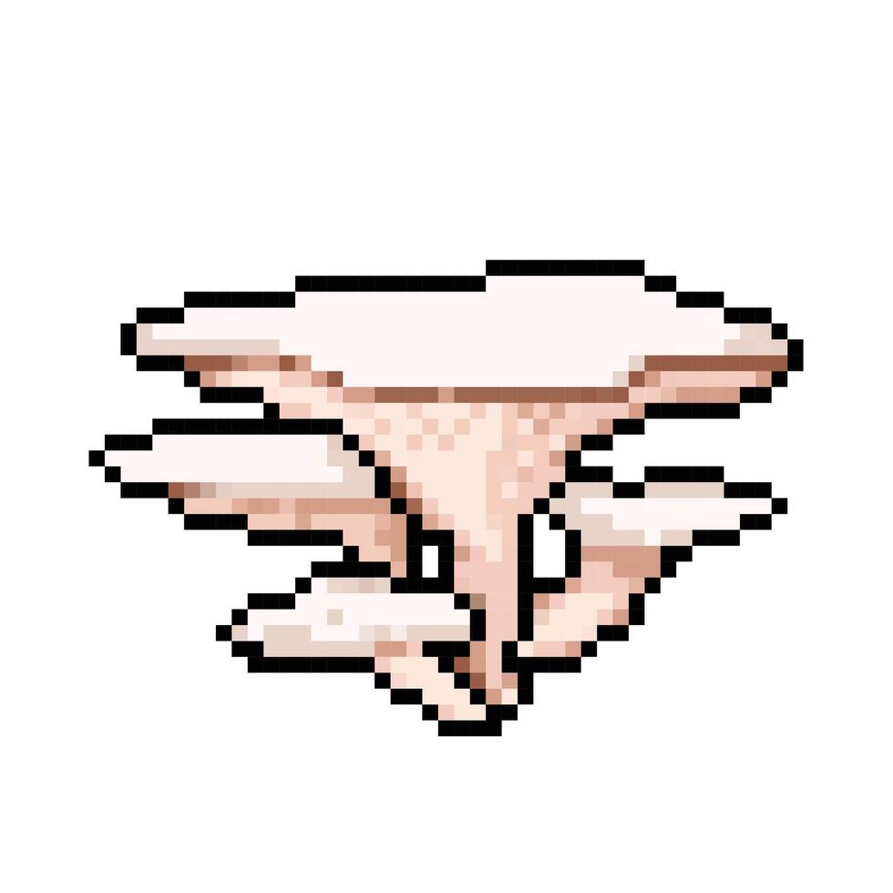 parel oester paddestoel gemeenschappelijk eetbaar schimmels. pleurotus ostreatus of hiratake. pixel beetje retro spel gestileerd vector illustratie tekening. gemakkelijk vlak tekenfilm tekening geïsoleerd Aan plein wit achtergrond.