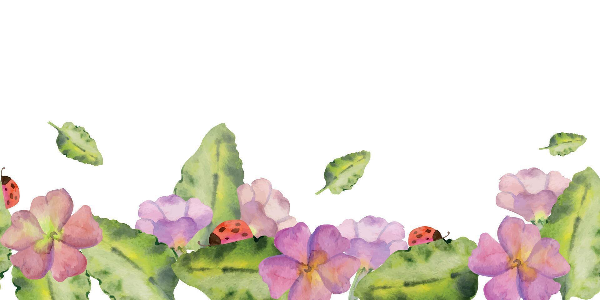 hand- getrokken waterverf illustratie voorjaar tuinieren bloem bed primula bladeren lieveheersbeestje natuur fabriek. naadloos banier geïsoleerd Aan wit achtergrond. ontwerp afdrukken, winkel, scrapbooken, verpakking, behang vector