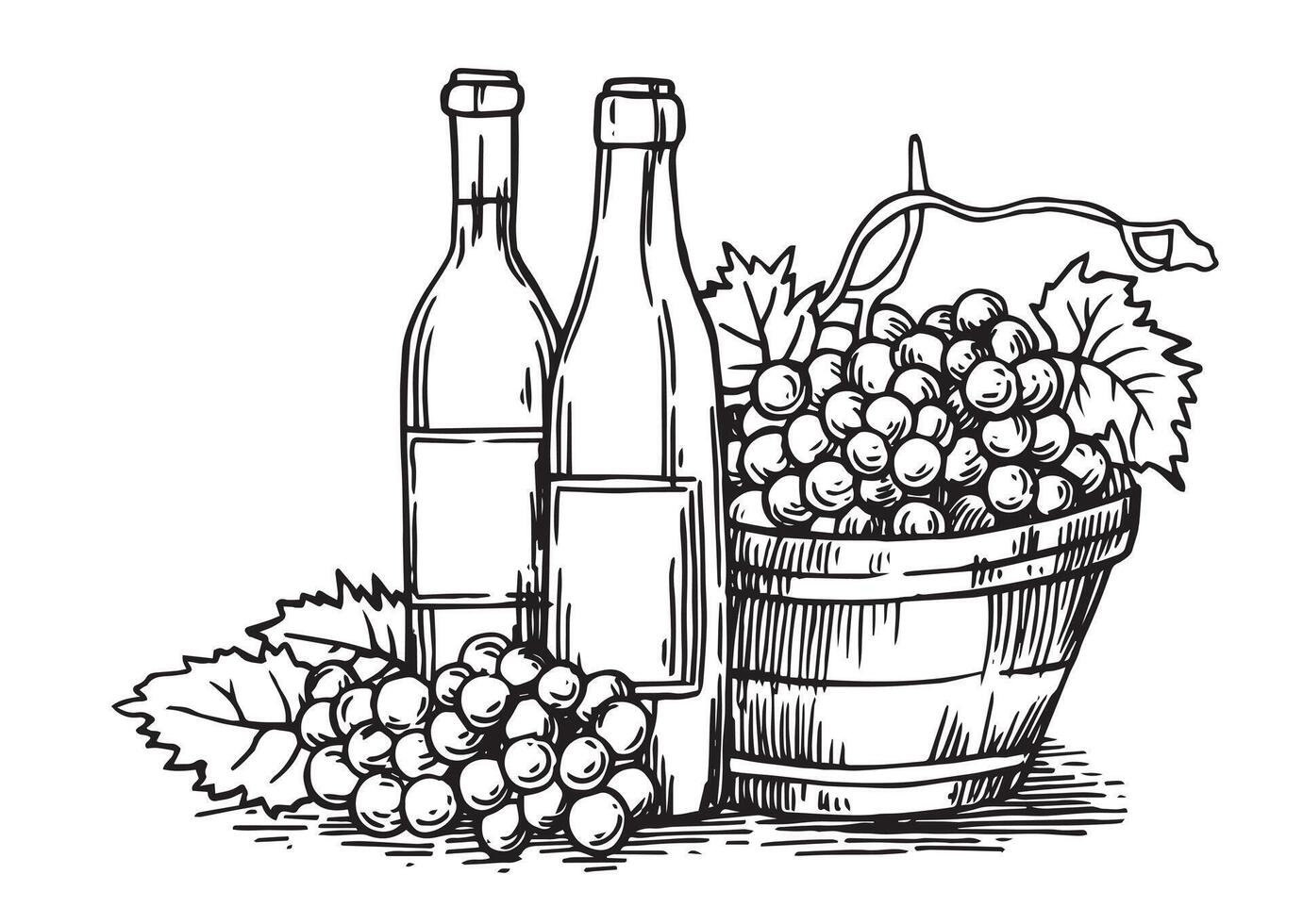 flessen van wijn en een mand van druiven. wijnoogst tekening in schetsen stijl. zwart en wit illustratie vector
