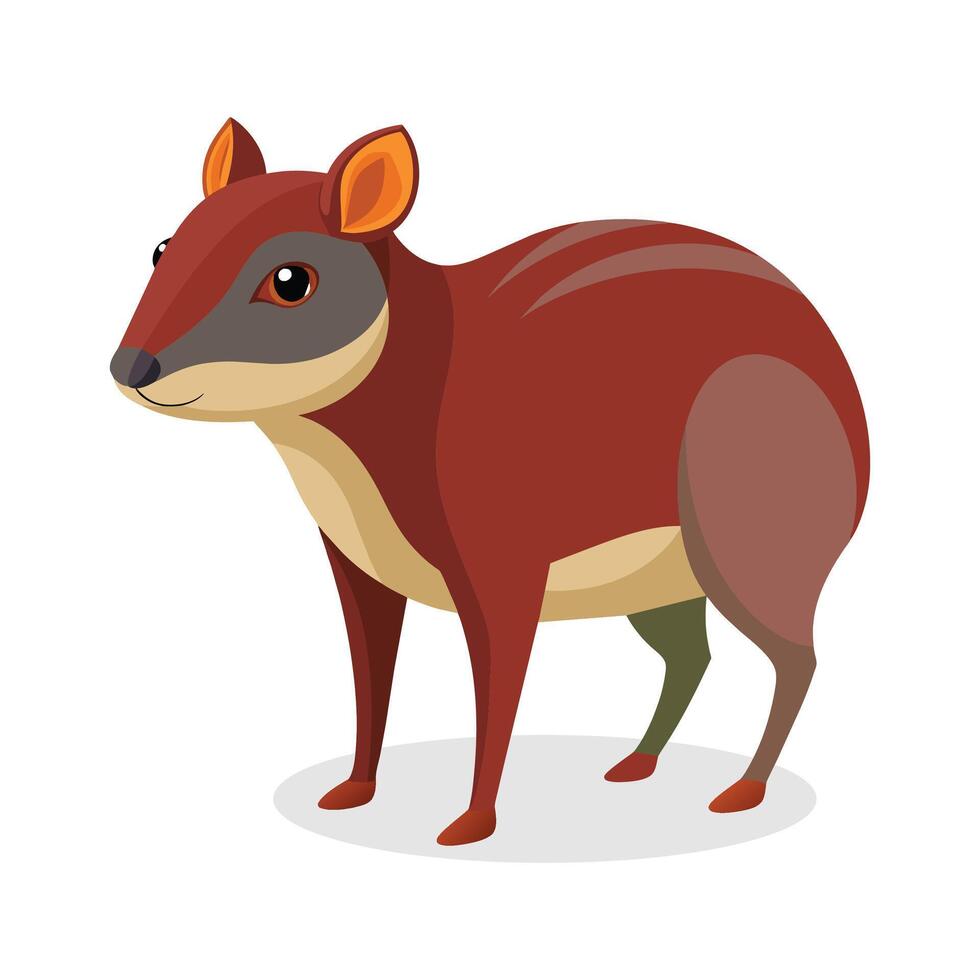 agouti vector illustratie Aan wit achtergrond