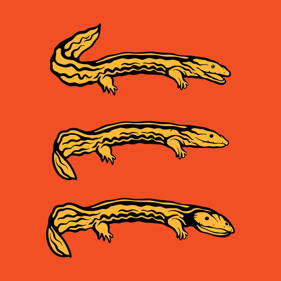Chinese reusachtig salamander, hellbender icoon, salamander vector ontwerp illustratie