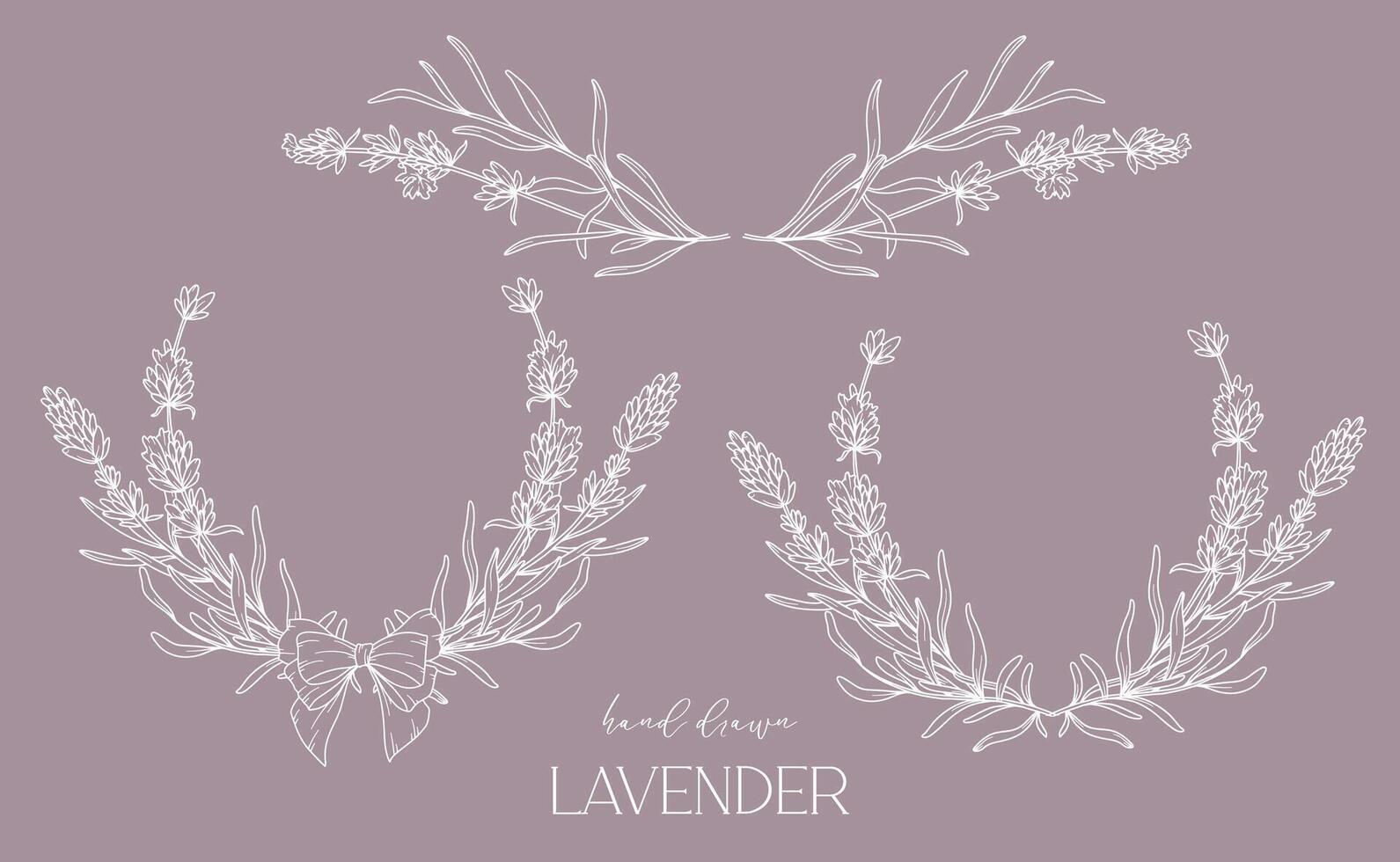 lavendel lijn tekening. zwart en wit bloemen kozijnen. bloemen lijn kunst. prima lijn lavendel illustratie. hand- getrokken schets bloemen. botanisch kleur bladzijde. bruiloft uitnodiging bloemen vector