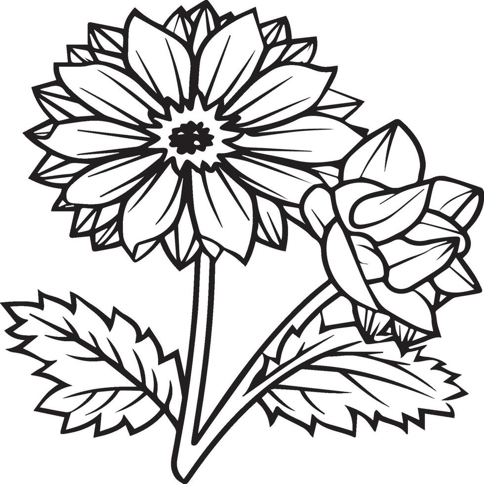 dahlia bloem kleur Pagina's. dahlia bloemen schets vector