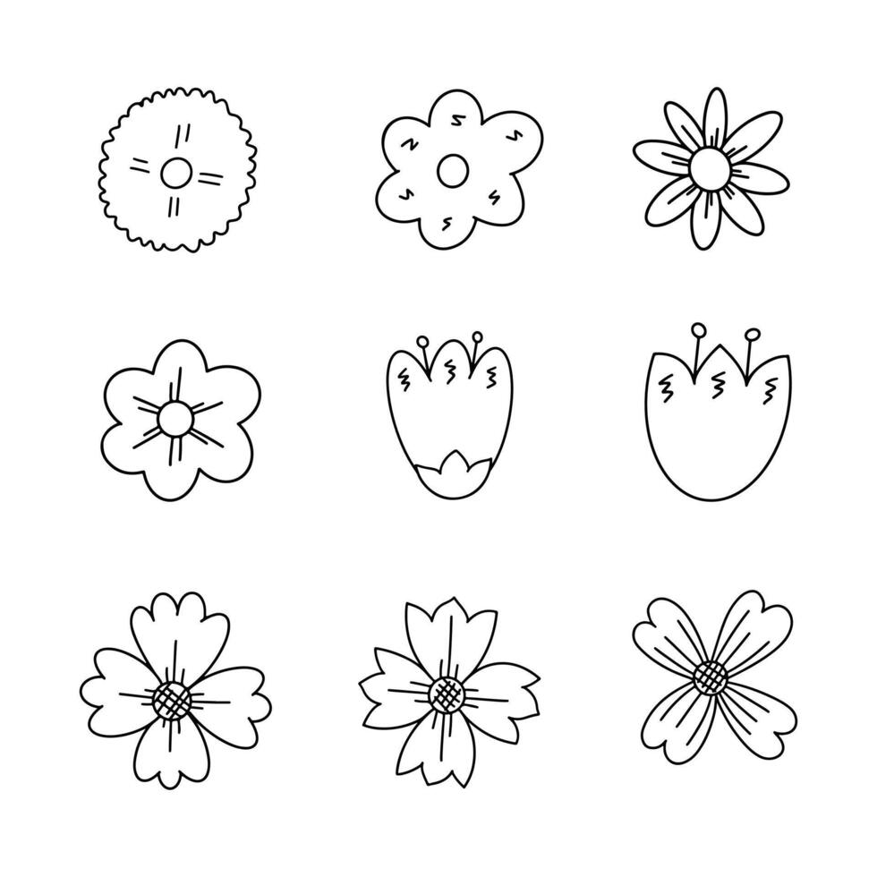 bloem tekening lijn vector illustratie