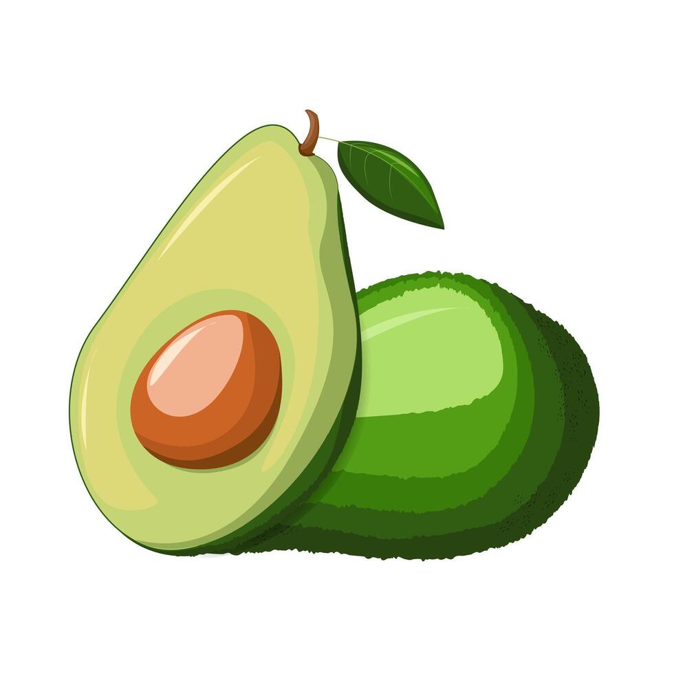 avocado geheel en voor de helft. gezond groenten en vegetarisch voedsel. vers biologisch voedsel, gezond aan het eten. gemaakt in tekenfilm vlak stijl vector