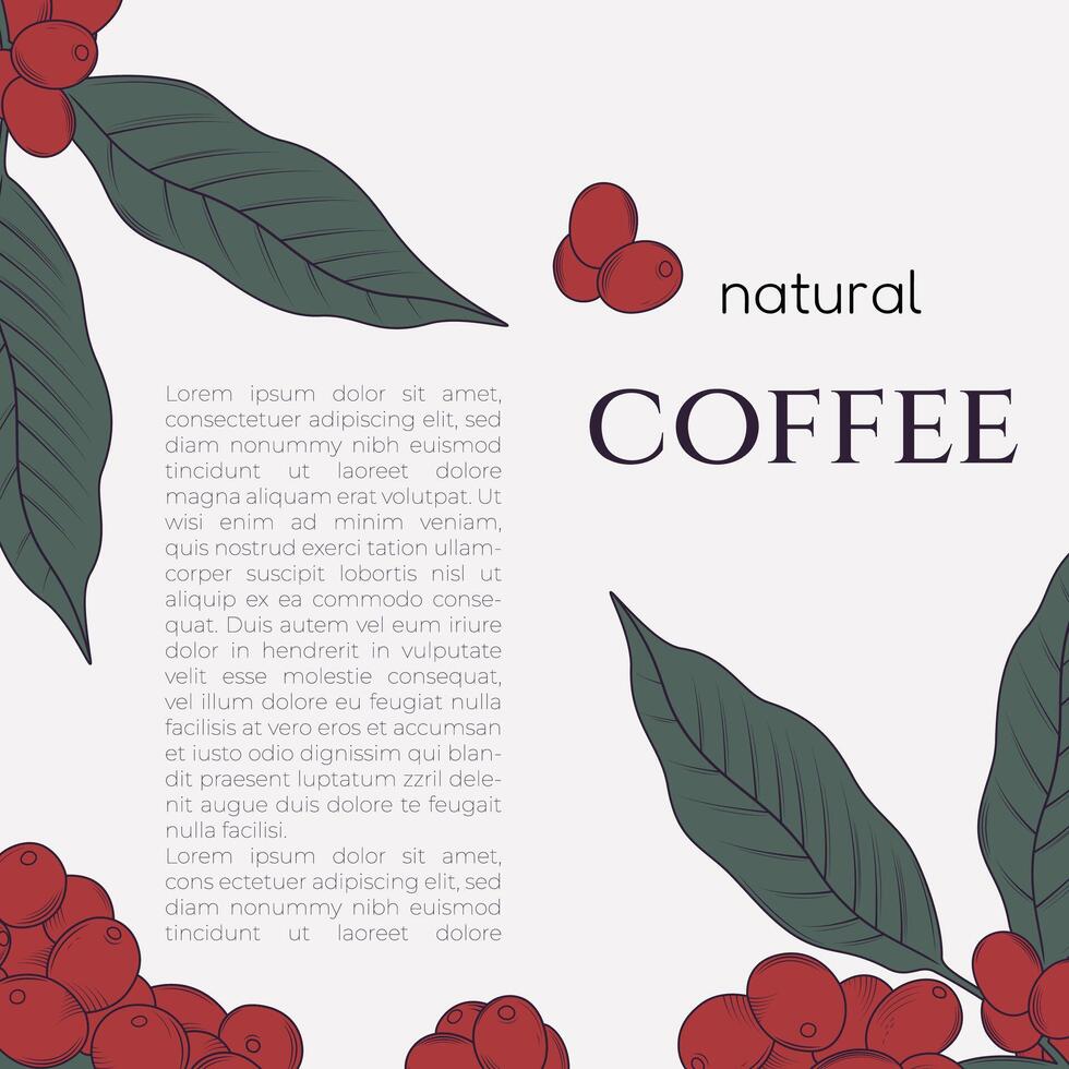 koffie Promotie ontwerp vector