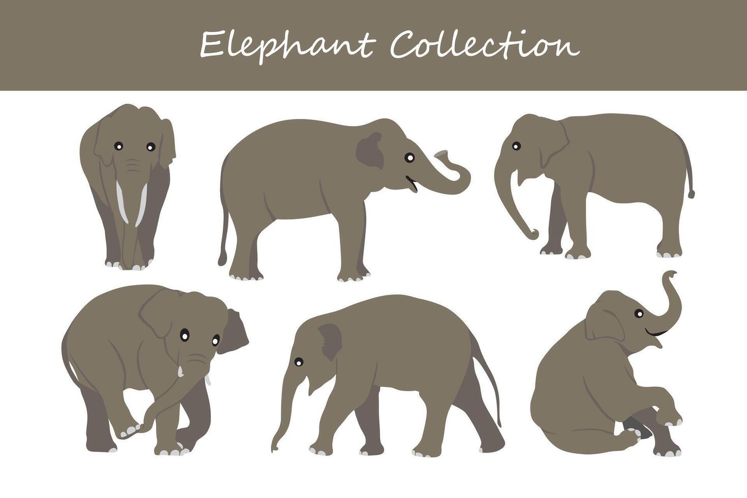 olifanten set. verschillend poseert, jas kleuren. vector illustratie