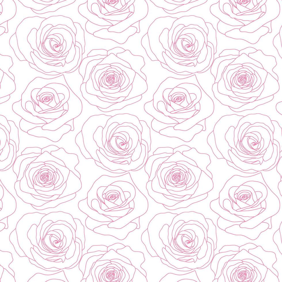 vector naadloos patroon met roos bloemen roze schets Aan de wit achtergrond hand- getrokken bloemen stijl vector