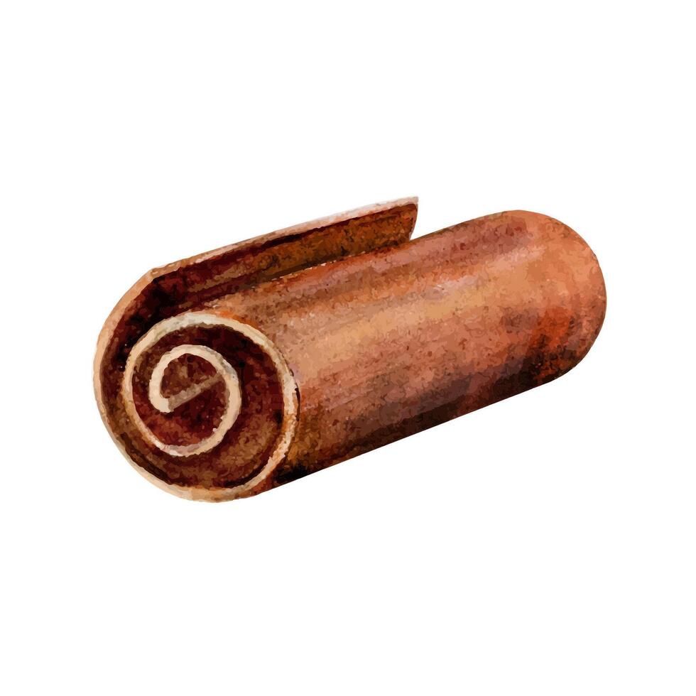 chocola rollen spiraal volute waterverf tekening. zoet cacao suiker traktatie buis. confectie taart decoratie. melk smakelijk toetje geïsoleerd Aan wit achtergrond vector