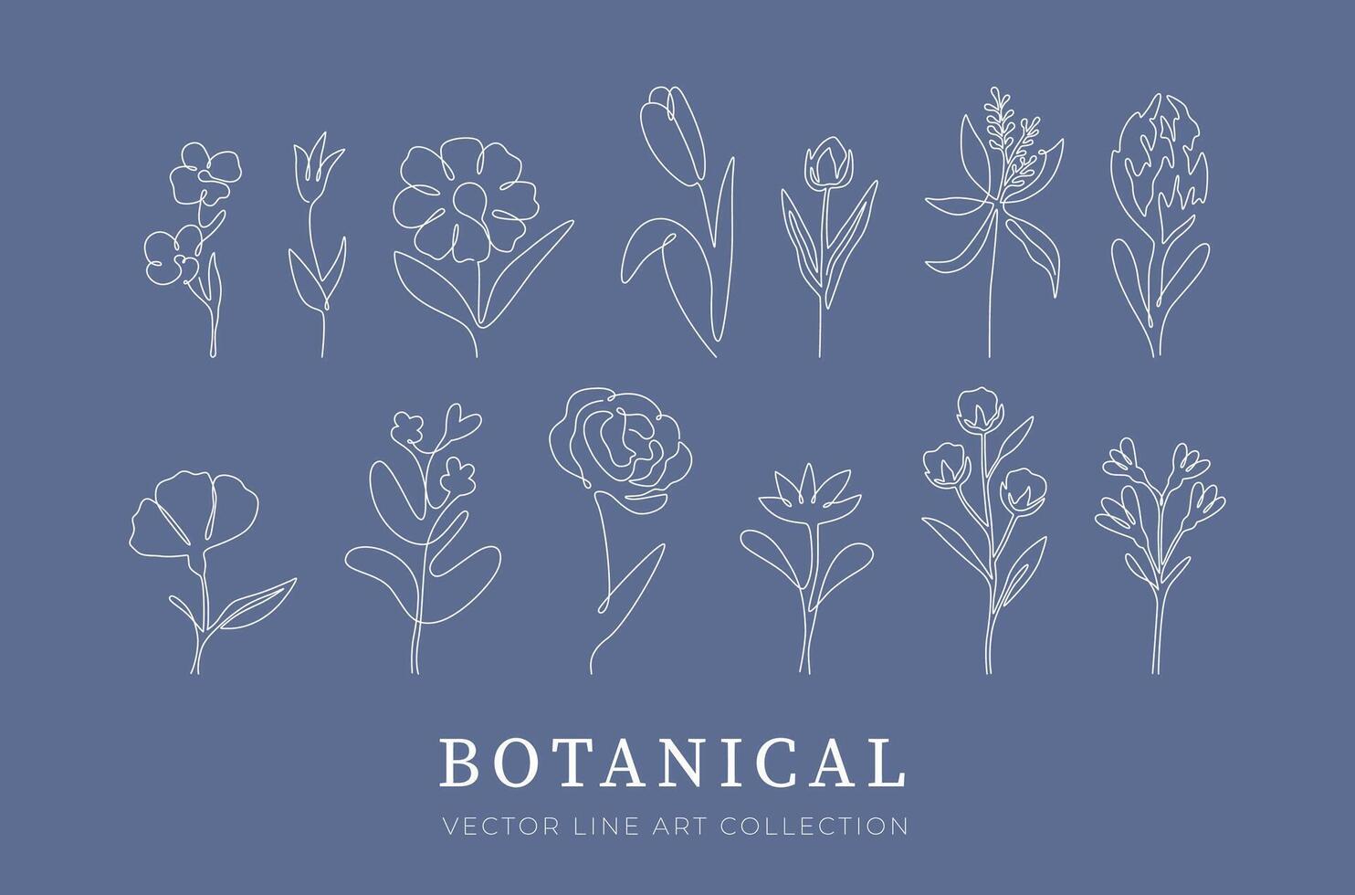 botanisch hand- getrokken vector elementen