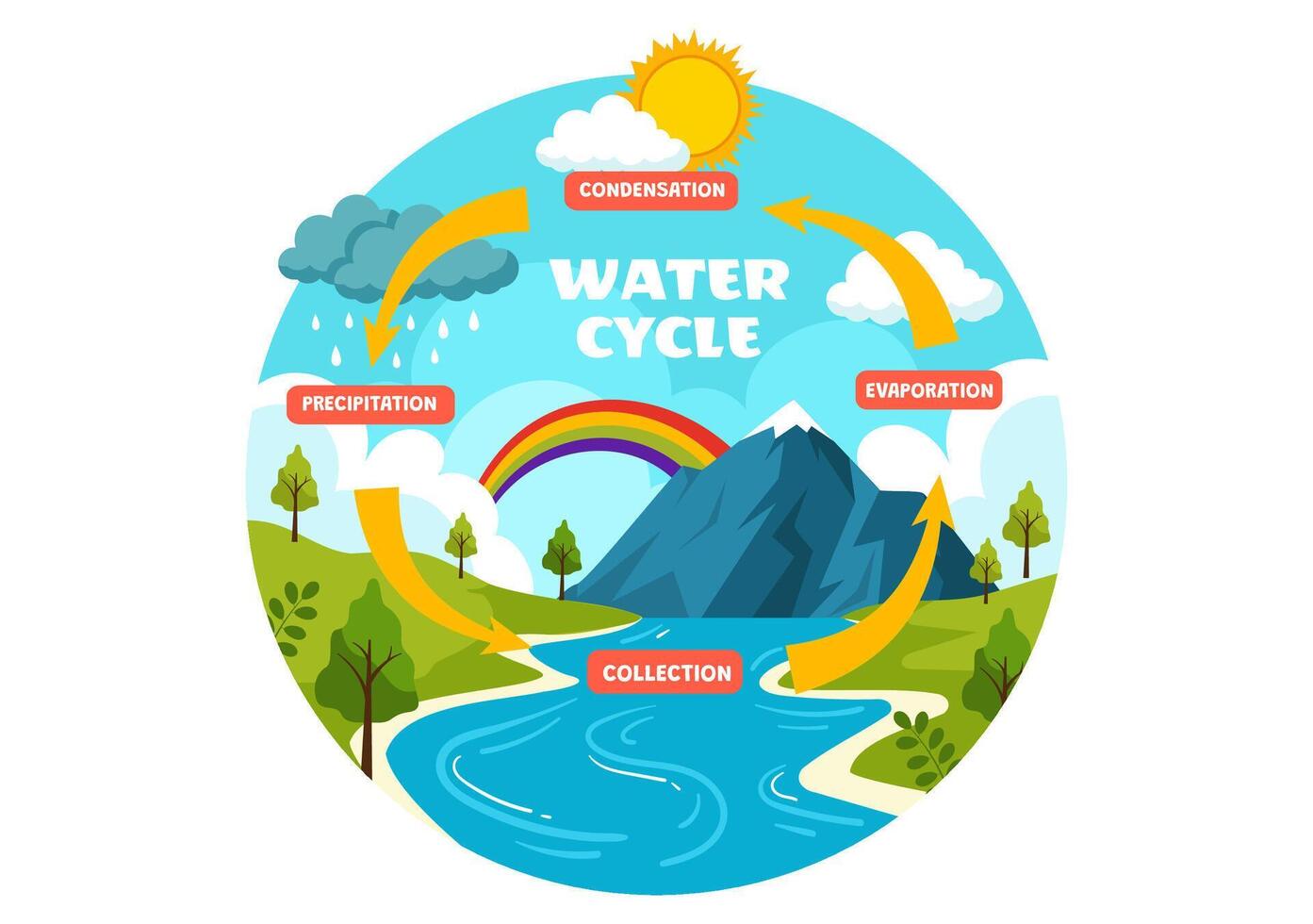 water fiets vector illustratie met verdamping, condensatie, neerslag naar verzameling in aarde natuurlijk milieu in vlak tekenfilm achtergrond