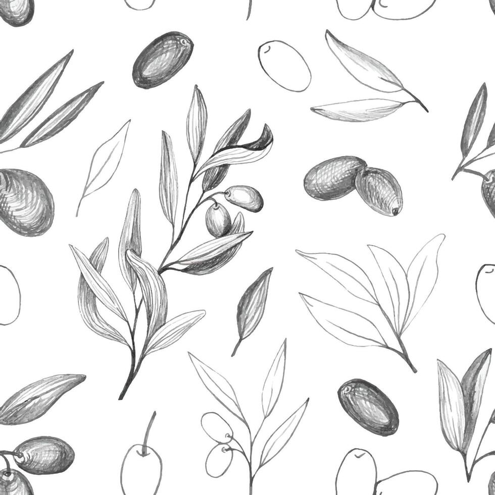 potlood olijven naadloos patroon met olijf- takken en fruit voor Italiaans keuken ontwerp vector