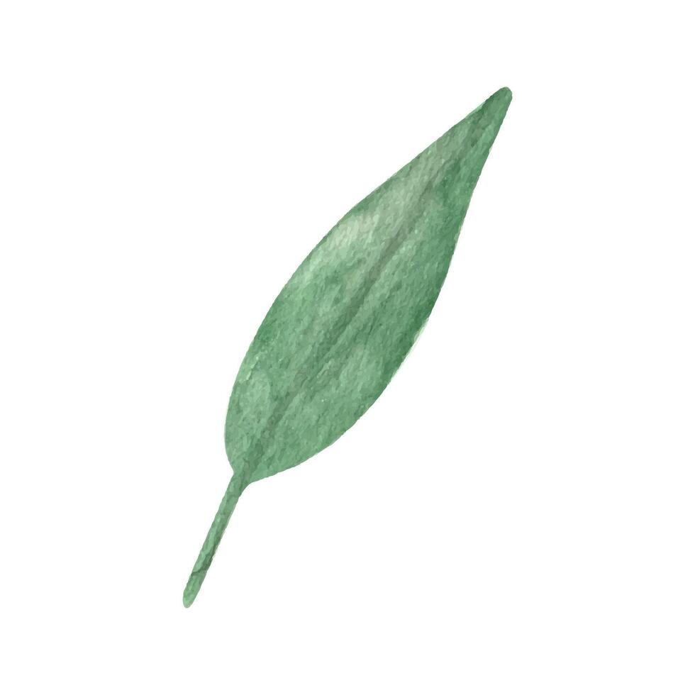 schattig hand- getrokken groen blad. waterverf illustratie bladeren voor bruiloft decoratie en arrangementen. vector