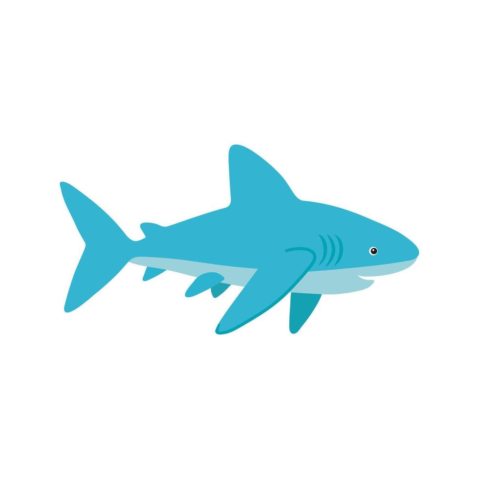 vector zee blauw haai. hand- getrokken illustratie voor reizen ontwerp.