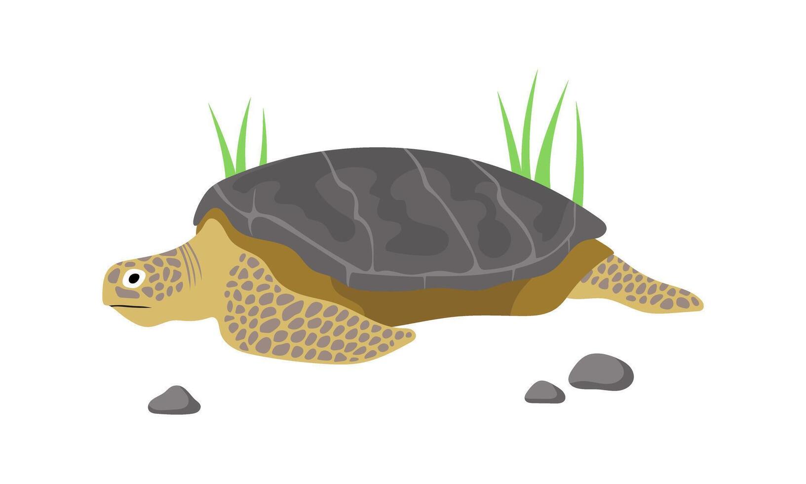 schildpad. dier. zeldzaam. een bedreigd soorten. vector vlak illustratie geïsoleerd