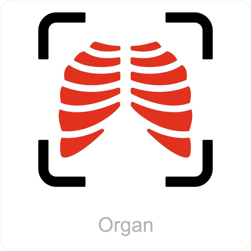 orgaan en menselijk icoon concept vector