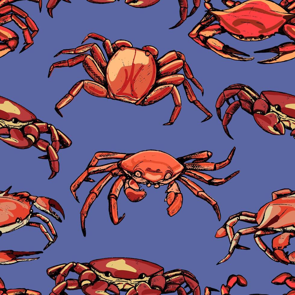 wijnoogst hand- getrokken vector naadloos patroon. achtergrond van mooi krabben. realistisch grafisch schetsen van schaaldier dieren. helder oppervlakte ontwerp.