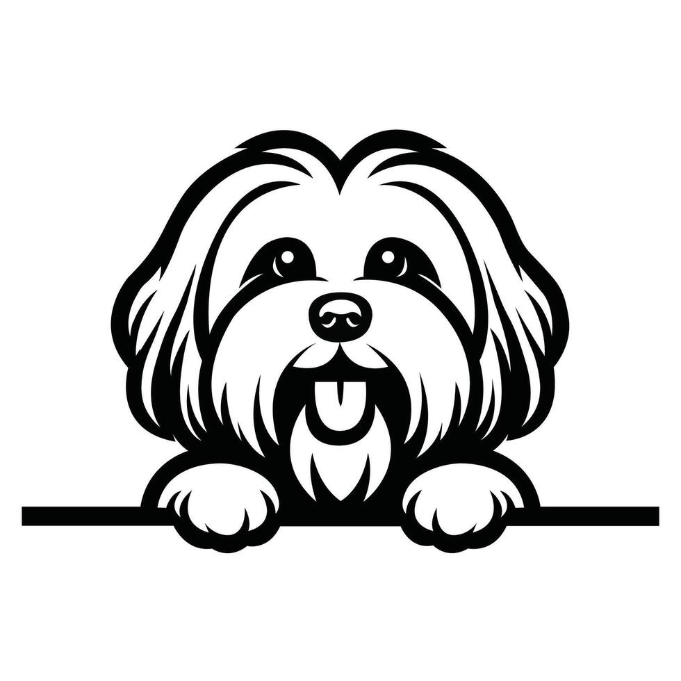 ai gegenereerd zwart en wit Havanezer hond gluren gezicht illustratie vector