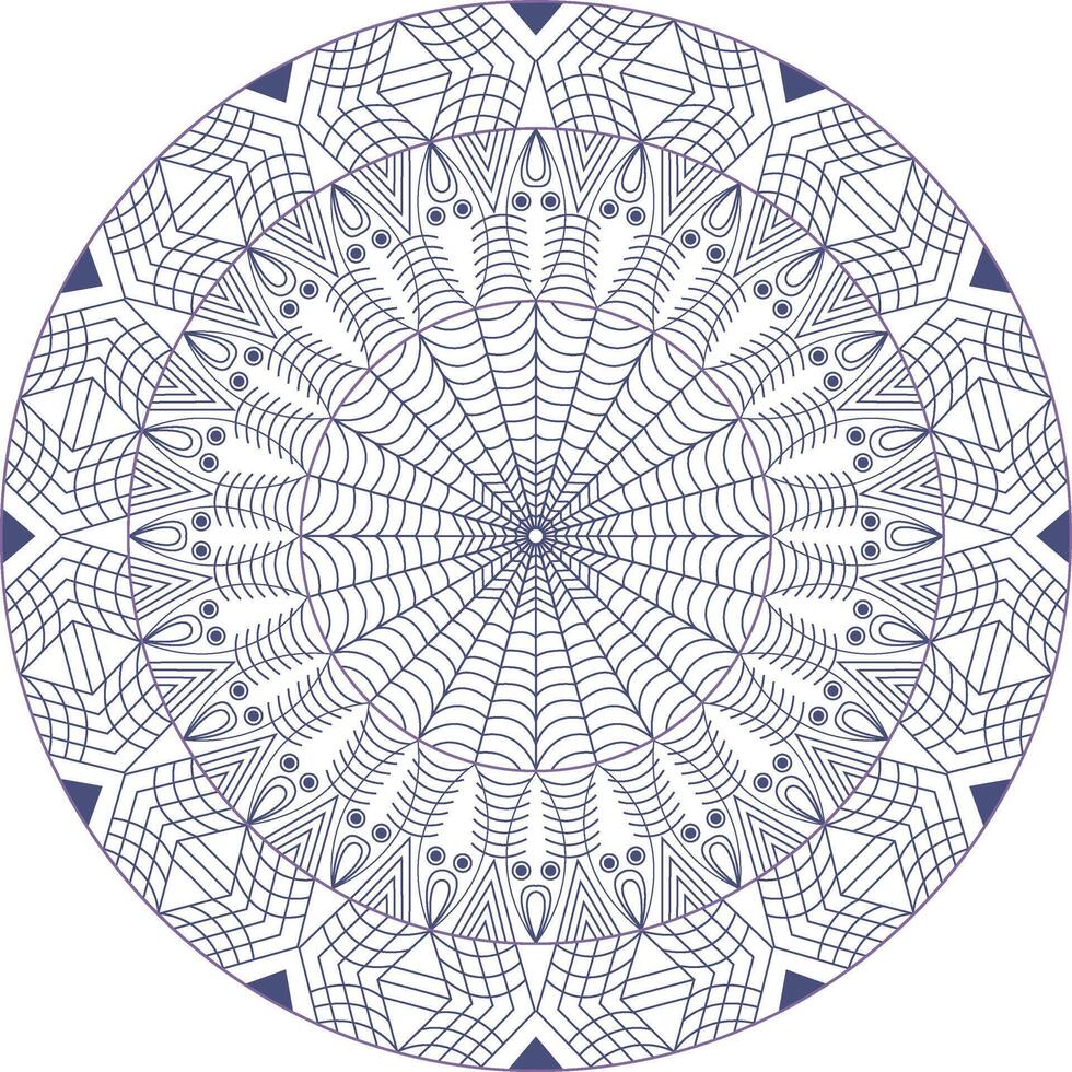 een circulaire mandala ontwerp met een patroon in de centrum. vector