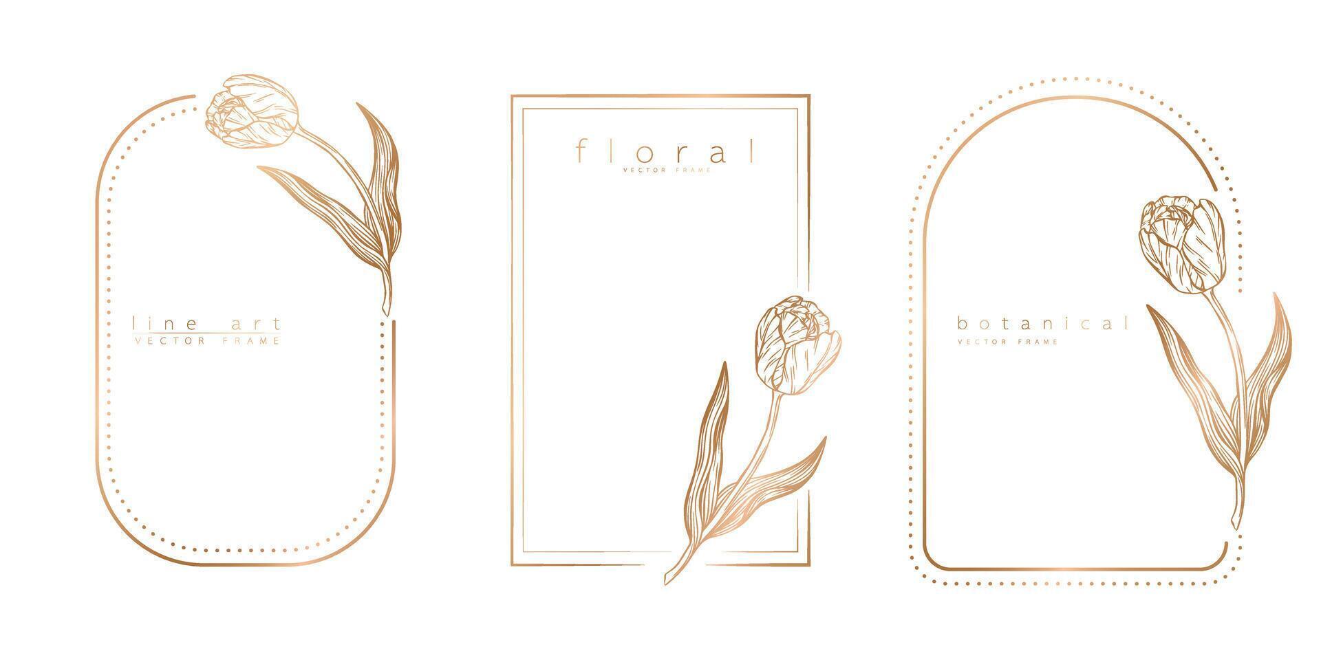 reeks van kader Sjablonen in minimaal lineair stijl met hand- getrokken tulpen. elegant tulp grens. bloemen vector illustratie voor etiketten, zakelijke identiteit, bruiloft uitnodiging, logo, opslaan de datum.