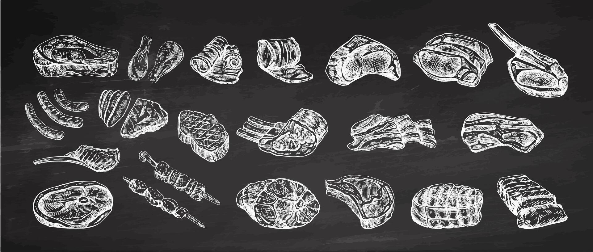 reeks van hand getekend schetsen van verschillend types van vlees, steaks, kip, kebab, spek, lende, varkensvlees, rundvlees, ham, barbecue. wijnoogst illustratie Aan schoolbord achtergrond. vector