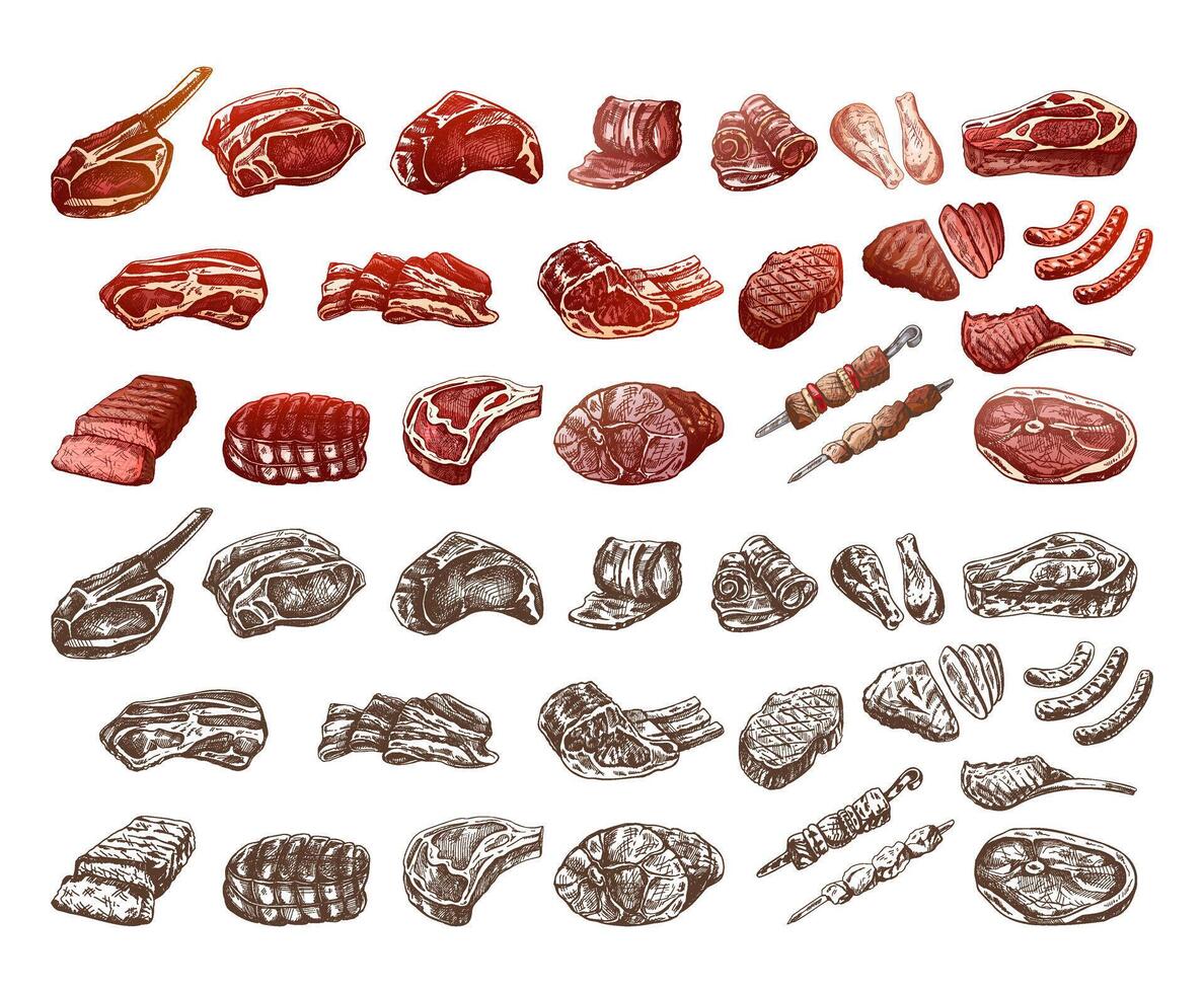 reeks van hand getekend gekleurde en monochroom schetsen van verschillend types van vlees, steaks, kip, kebab, spek, lende, varkensvlees, rundvlees, ham, barbecue. wijnoogst illustratie. vector