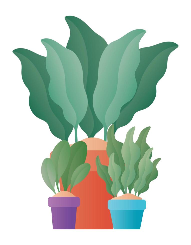 geïsoleerde planten in potten vector design